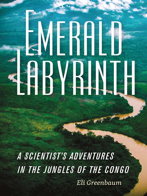 Title details for Emerald Labyrinth by Eli Greenbaum - Available